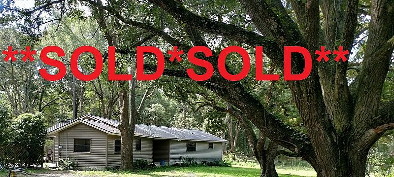 5 Acres ON Withlacoochee State Forest 4/2 Pool Home 4 Stall Stable Brooksville, Hernando Country, Fl 34601 SOLD